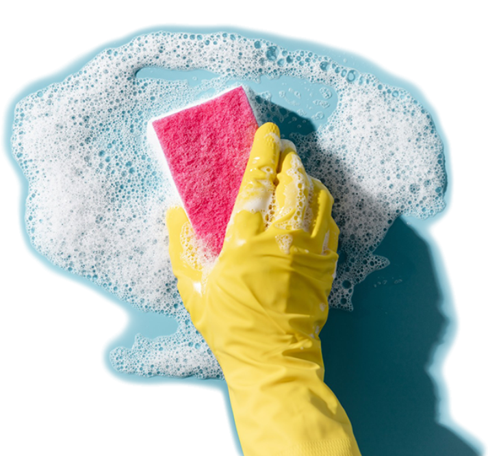 Glove and Scourer